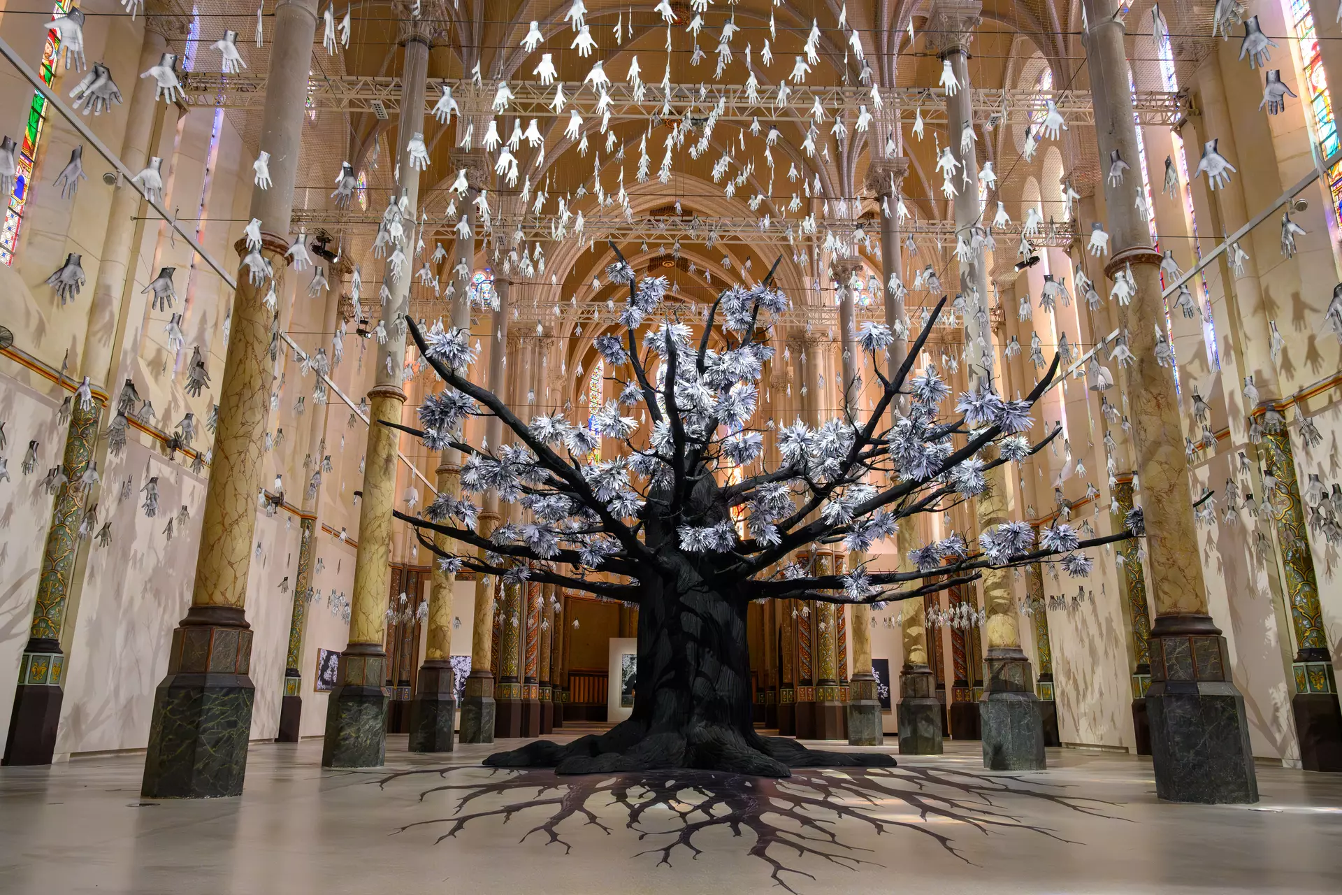 Le Carré Sainte-Anne rouvre ses portes : JR plante un arbre dans la nef